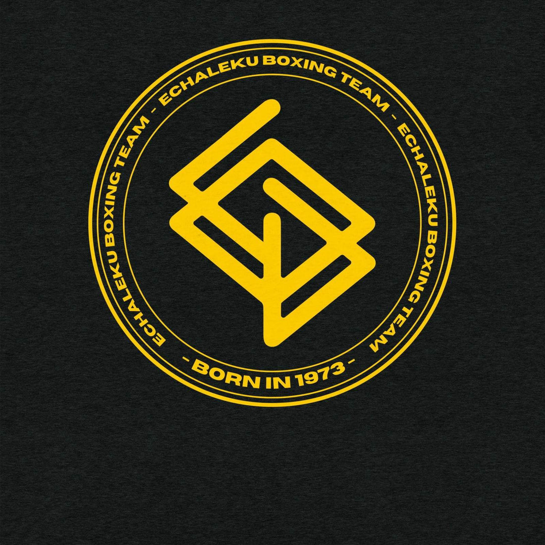 Camiseta Echaleku Boxing Team Gold - Echaleku Boxeo