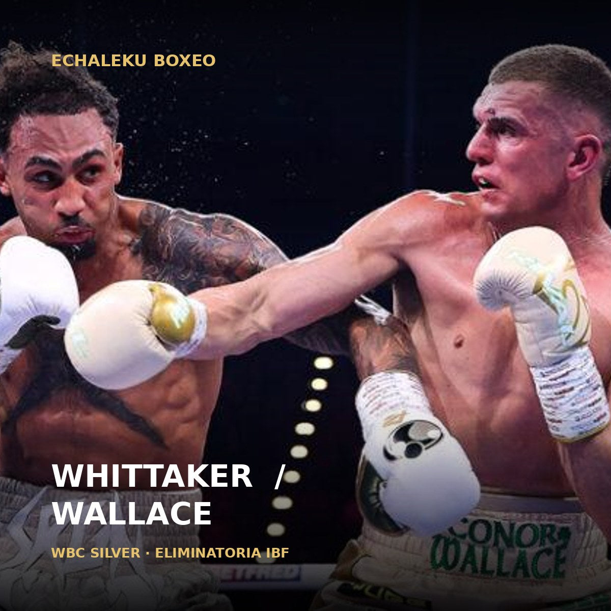 Ben Whittaker y Conor Wallace intercambian golpes en Birmingham
