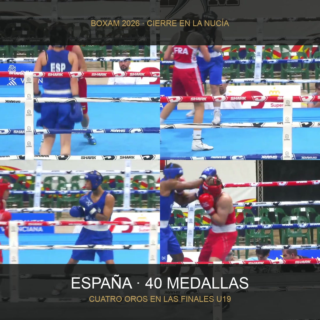 Collage de cuatro finales españolas del BOXAM 2026 con el balance de 40 medallas