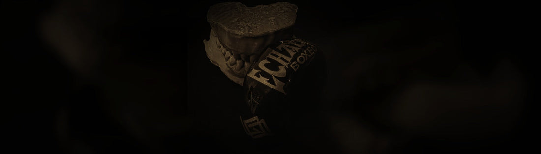 Protector bucal negro a medida Echaleku Boxeo centrado junto a su molde dental