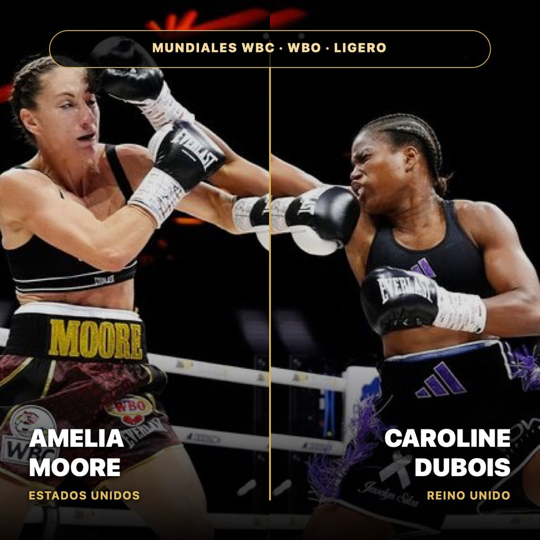 Amelia Moore y Caroline Dubois intercambian golpes durante su combate por los mundiales WBC y WBO del peso ligero