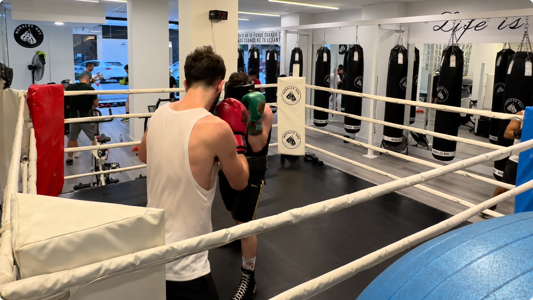 Dos boxeadores frente a frente con los guantes en guardia durante un entrenamiento en Morales Box.
