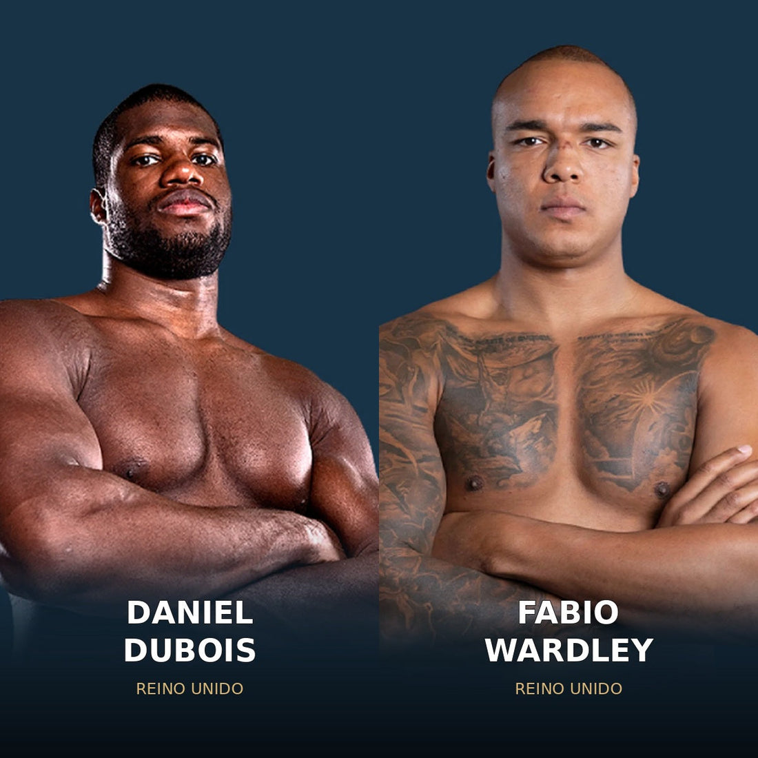 Daniel Dubois y Fabio Wardley, protagonistas de la revancha por el título mundial WBO del peso pesado