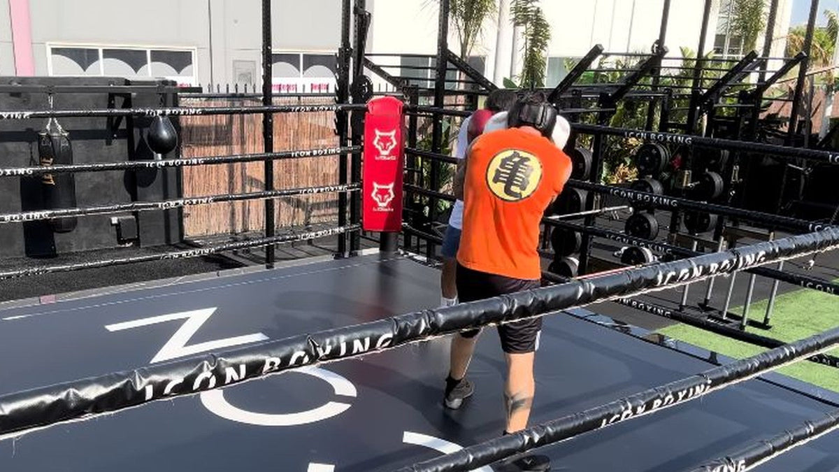 Dos boxeadores con guantes durante una sesión de sparring en Icon Valencia.