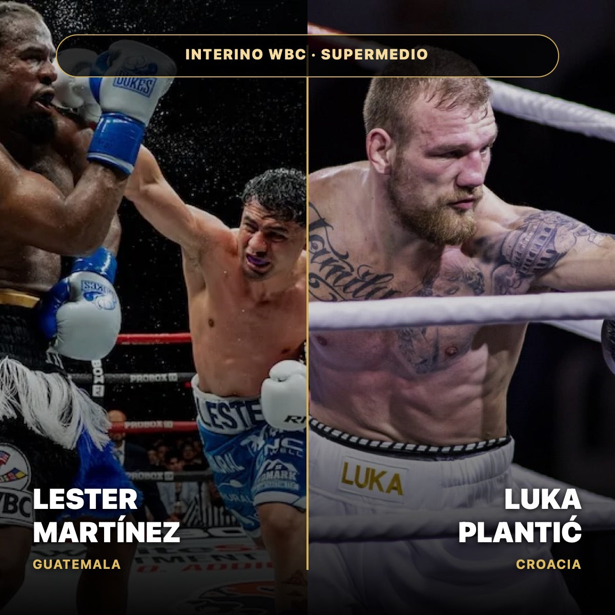 Lester Martínez y Luka Plantić en acción, protagonistas del combate por el título interino WBC del peso supermedio