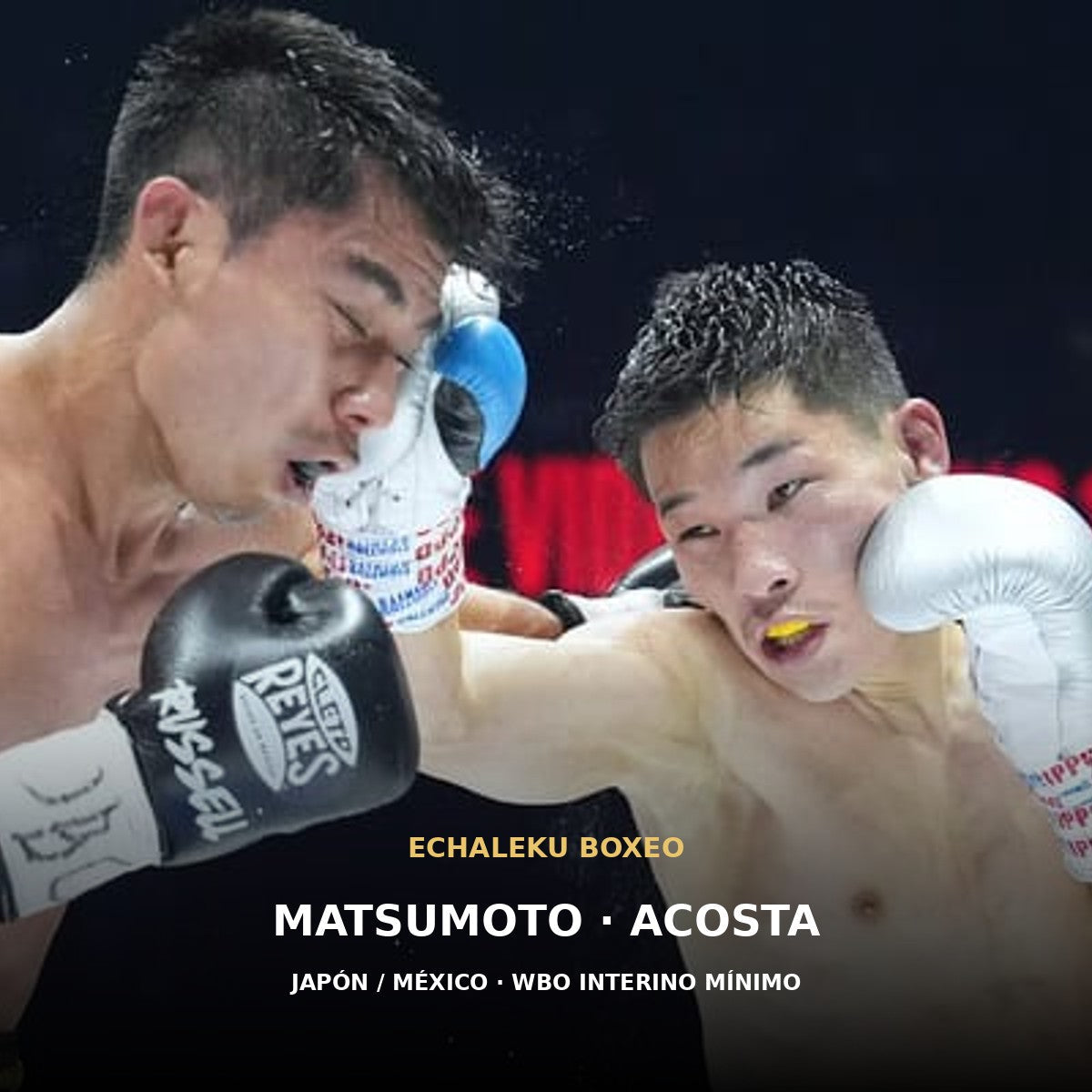 Ryusei Matsumoto y Russell Acosta durante su combate por el título interino WBO del peso mínimo