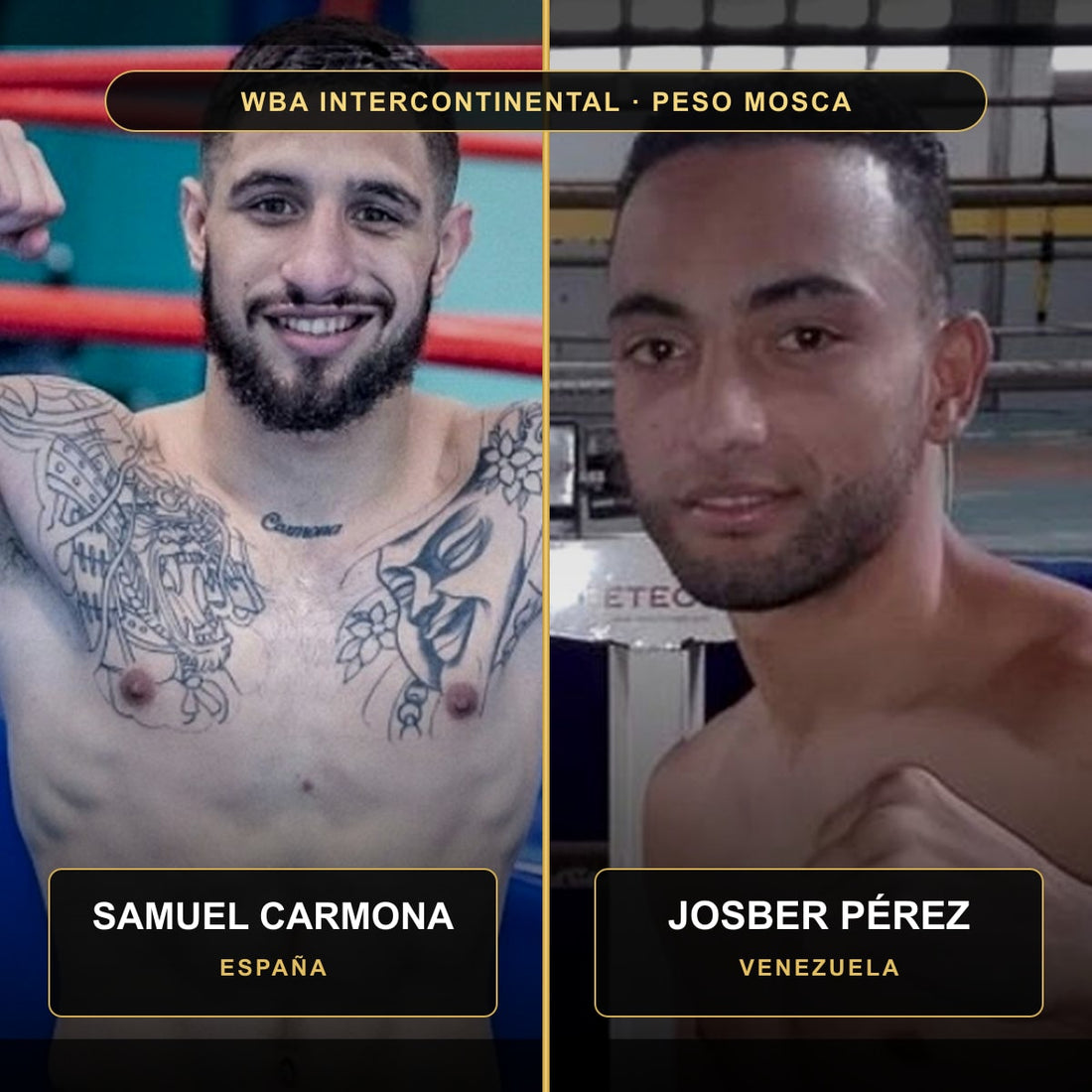 Samuel Carmona y Josber Pérez, protagonistas del combate por el título intercontinental WBA del peso mosca