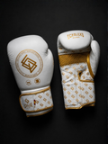 GUANTES BOXEO PREMIUM V5