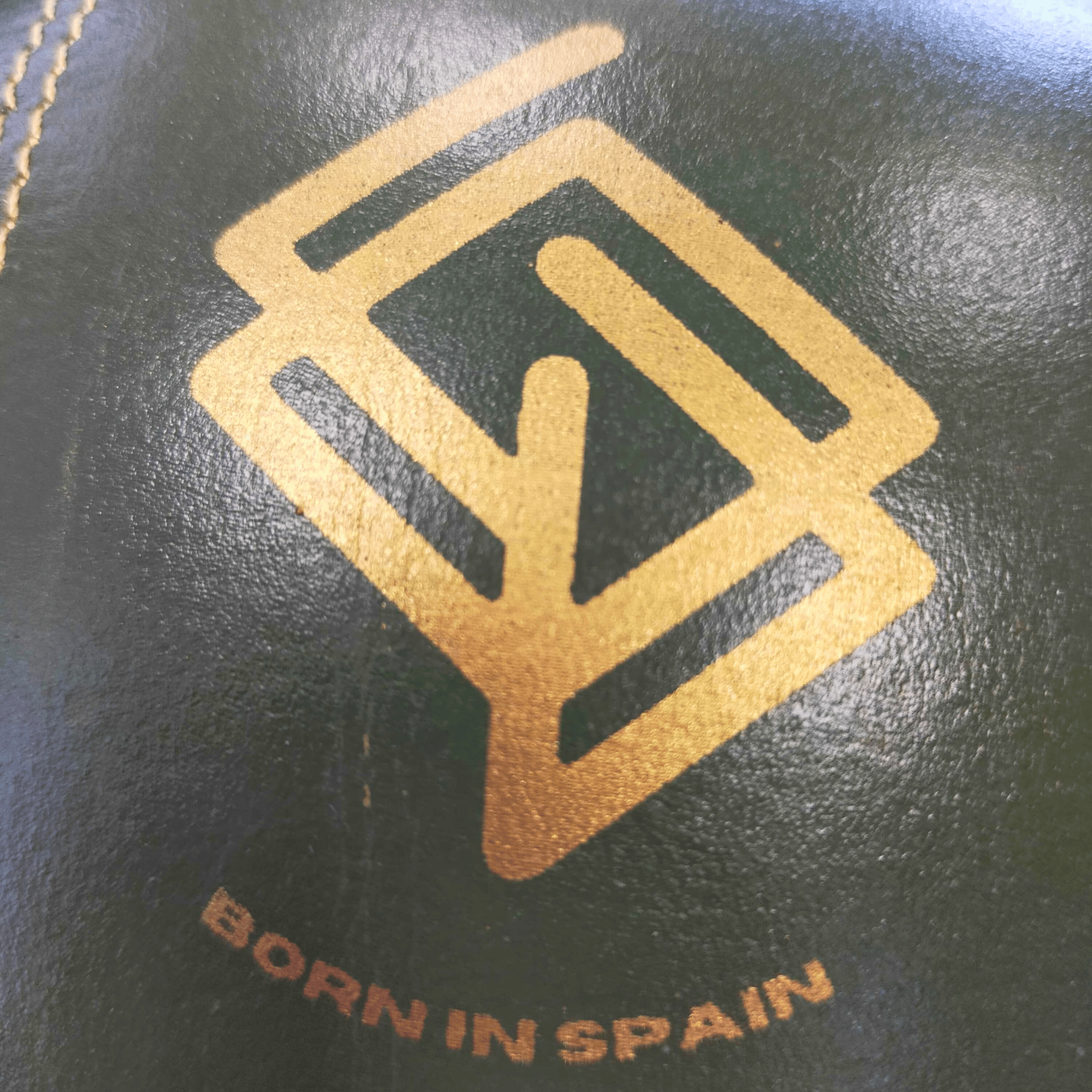 GUANTILLAS BOXEO DE PESO REGULABLE PARA ENTRENAR EN SACO: Verde Militar y Dorado