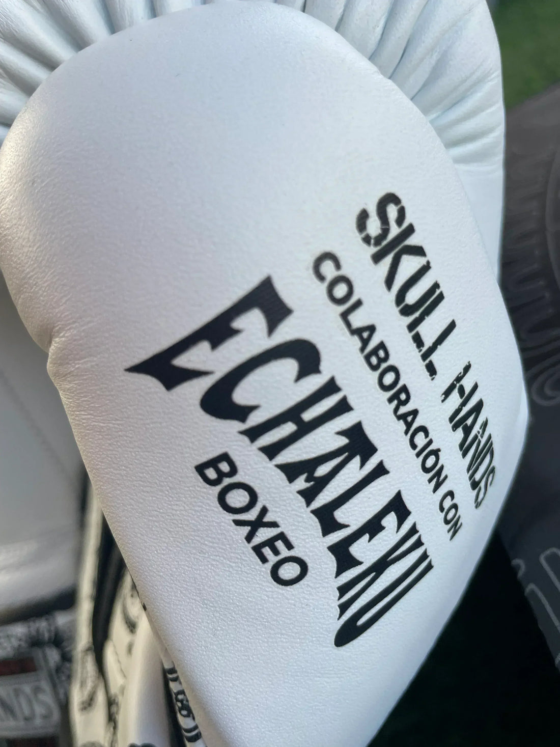 Guantes Skull Hands 16 onzas entrenamiento profesional. CACHEMIRA blanco y negro - Echaleku Boxeo