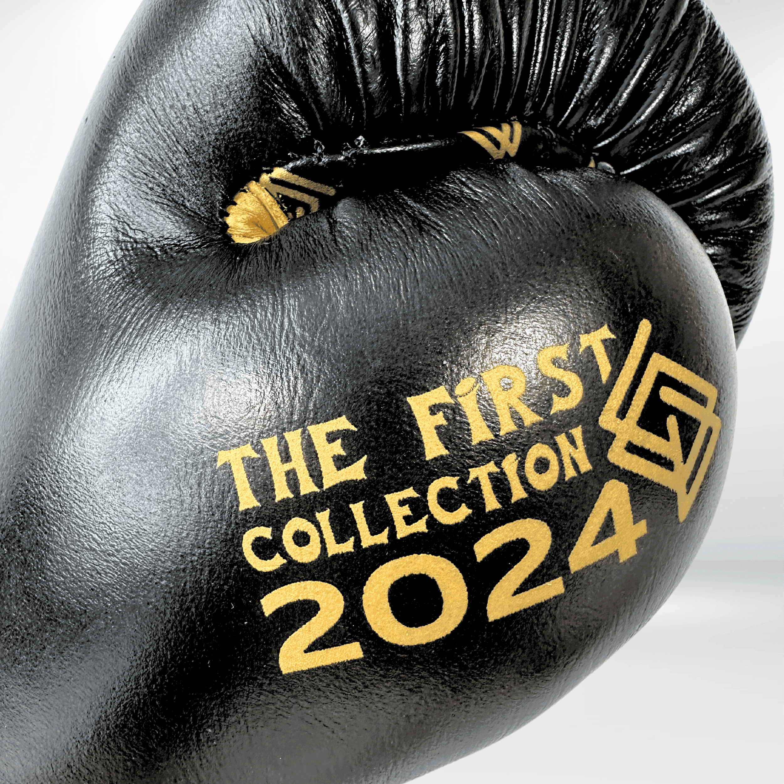 DUPLA Casco Boxeo Barra Piel Negro y Dorado + TFC2024 Negro y Dorado - Echaleku Boxeo