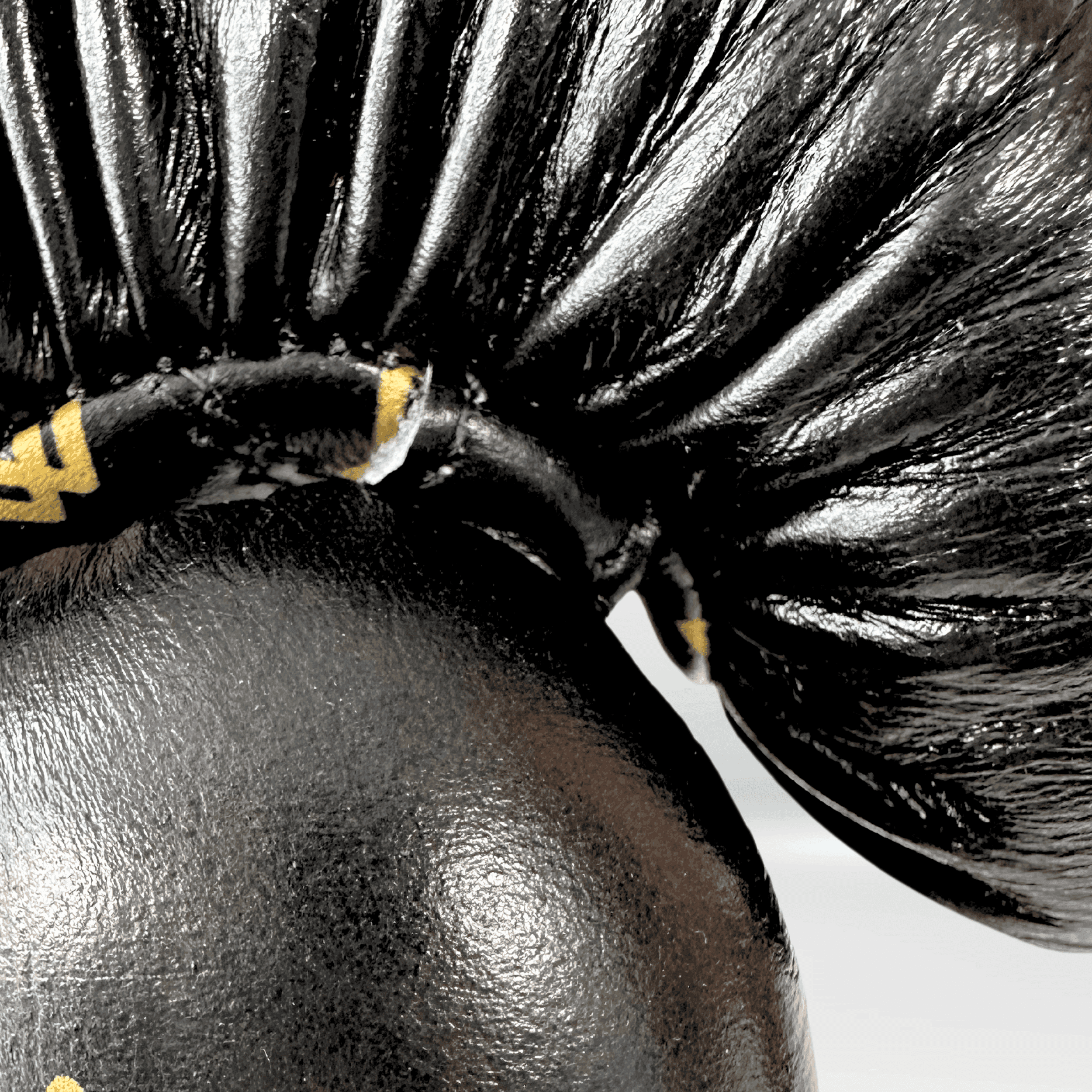 DUPLA Casco Boxeo Barra Piel Negro y Dorado + TFC2024 Negro y Dorado - Echaleku Boxeo