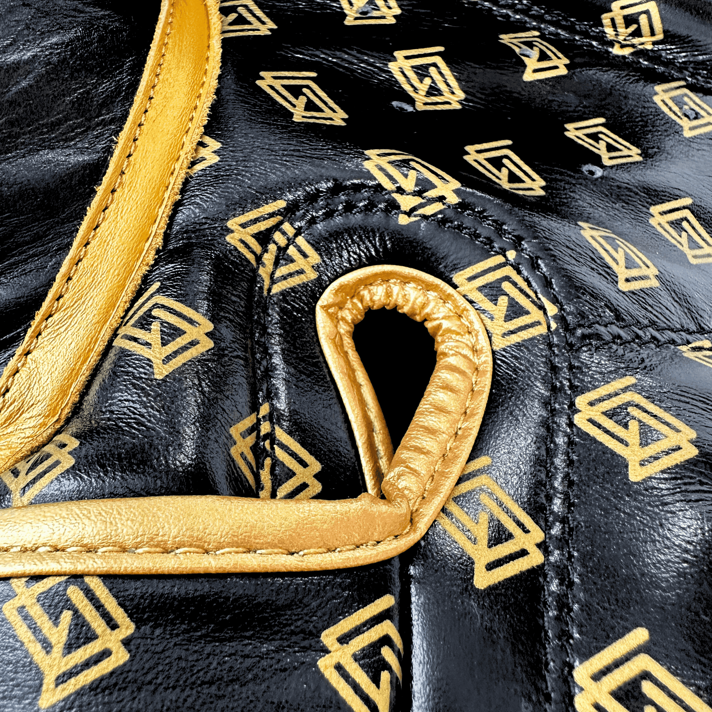 DUPLA Casco Boxeo Barra Piel Negro y Dorado + TFC2024 Negro y Dorado - Echaleku Boxeo