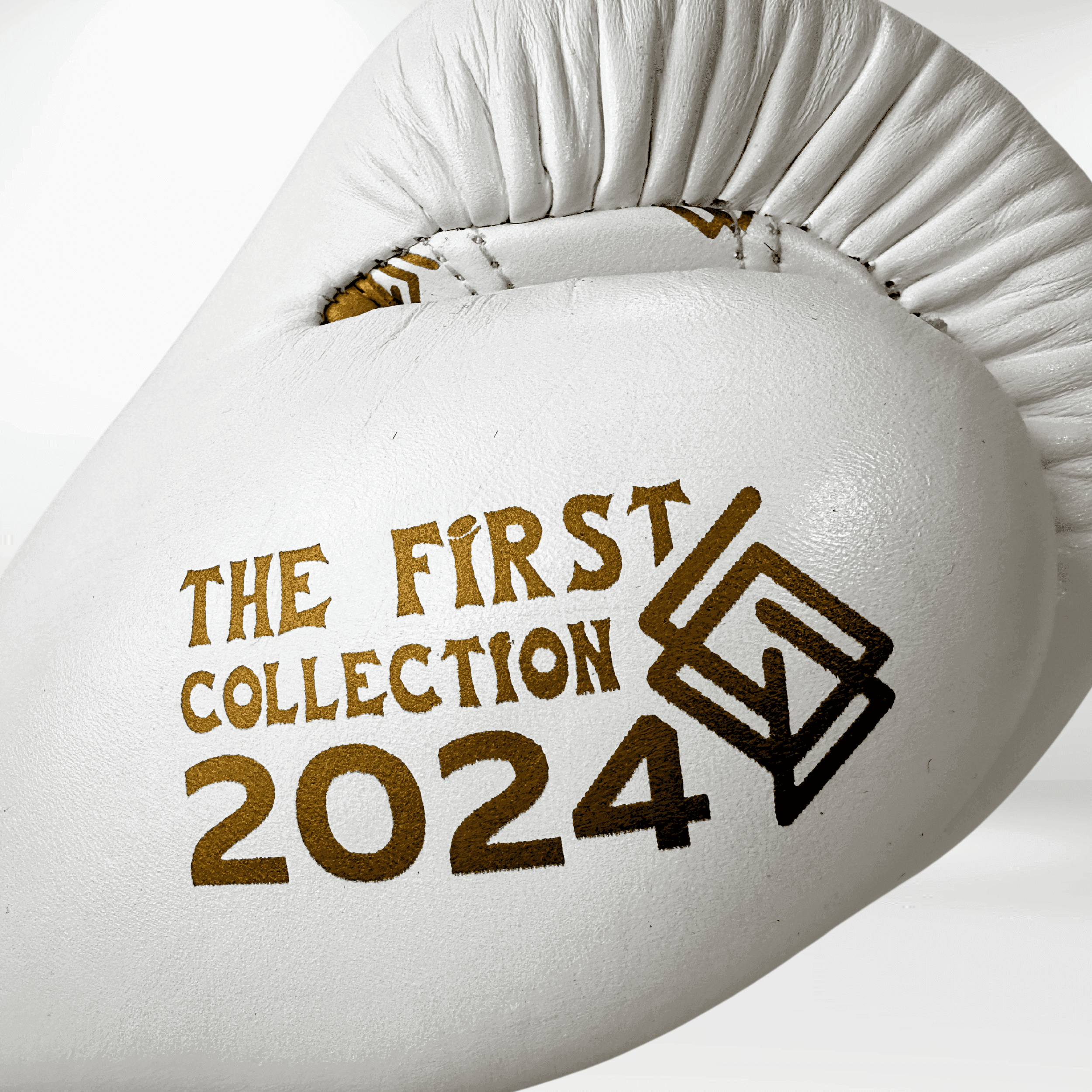 DUPLA Casco Boxeo Barra Piel Negro y Dorado + TFC2024 Blanco y Dorado - Echaleku Boxeo