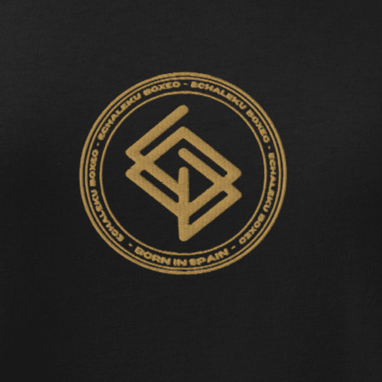 Camiseta Unisex Oversize Color Negro y Logo Bordado Dorado