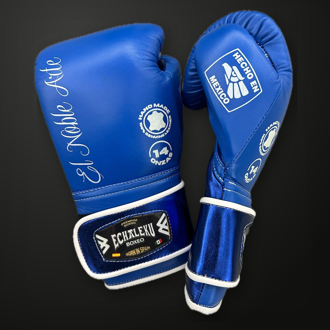 Guantes de boxeo Guanajuato Cantera Azul Echaleku Boxeo, vista 2