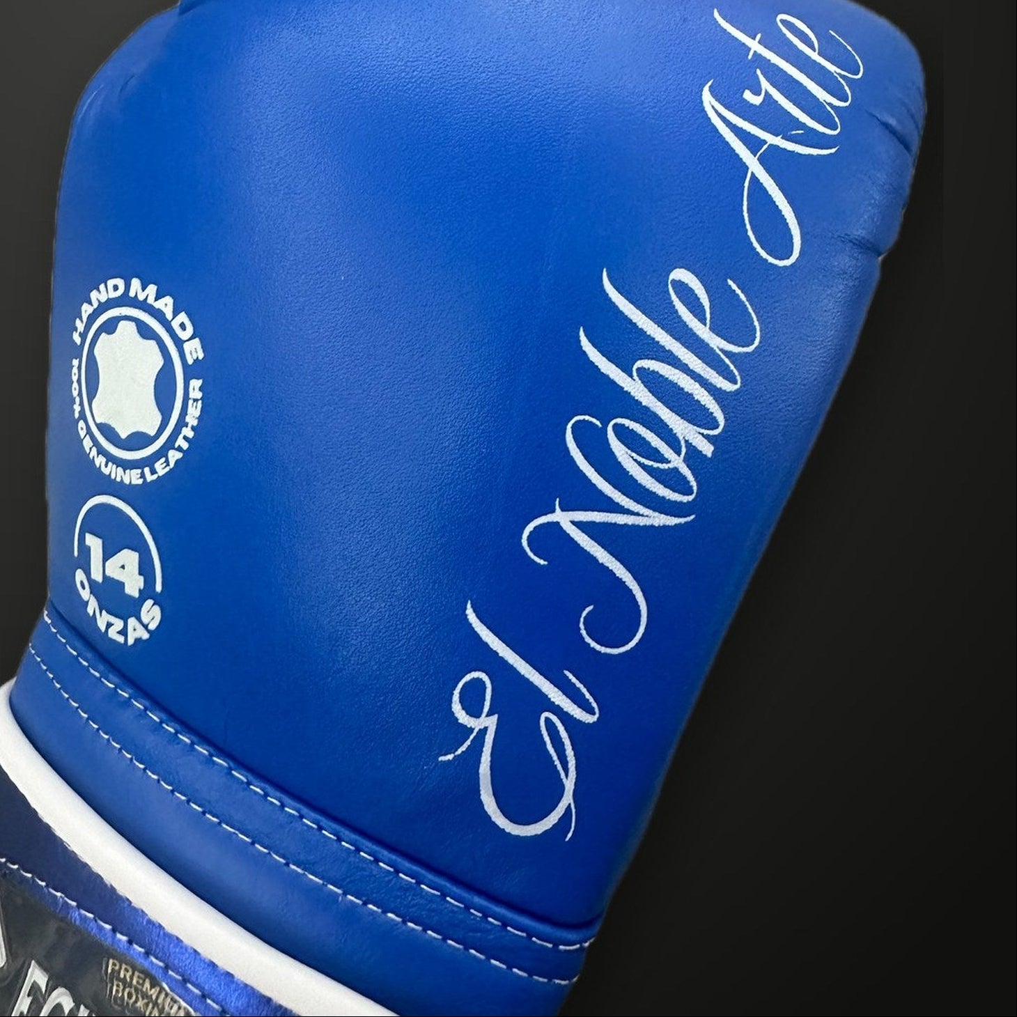 Guantes de boxeo Guanajuato Cantera Azul Echaleku Boxeo, detalle 3
