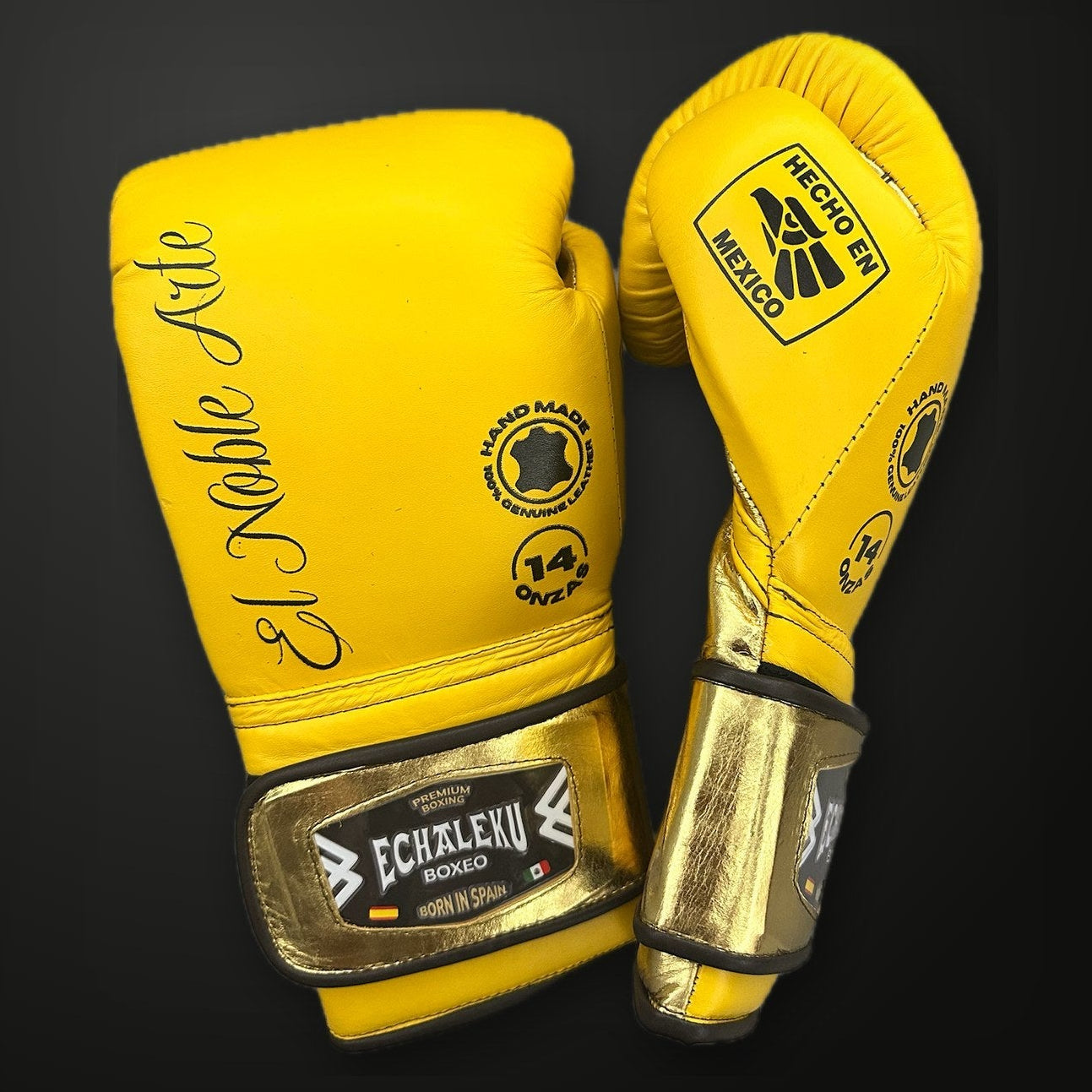 Guantes de boxeo Guanajuato Fachada Ocre Echaleku Boxeo, vista 2