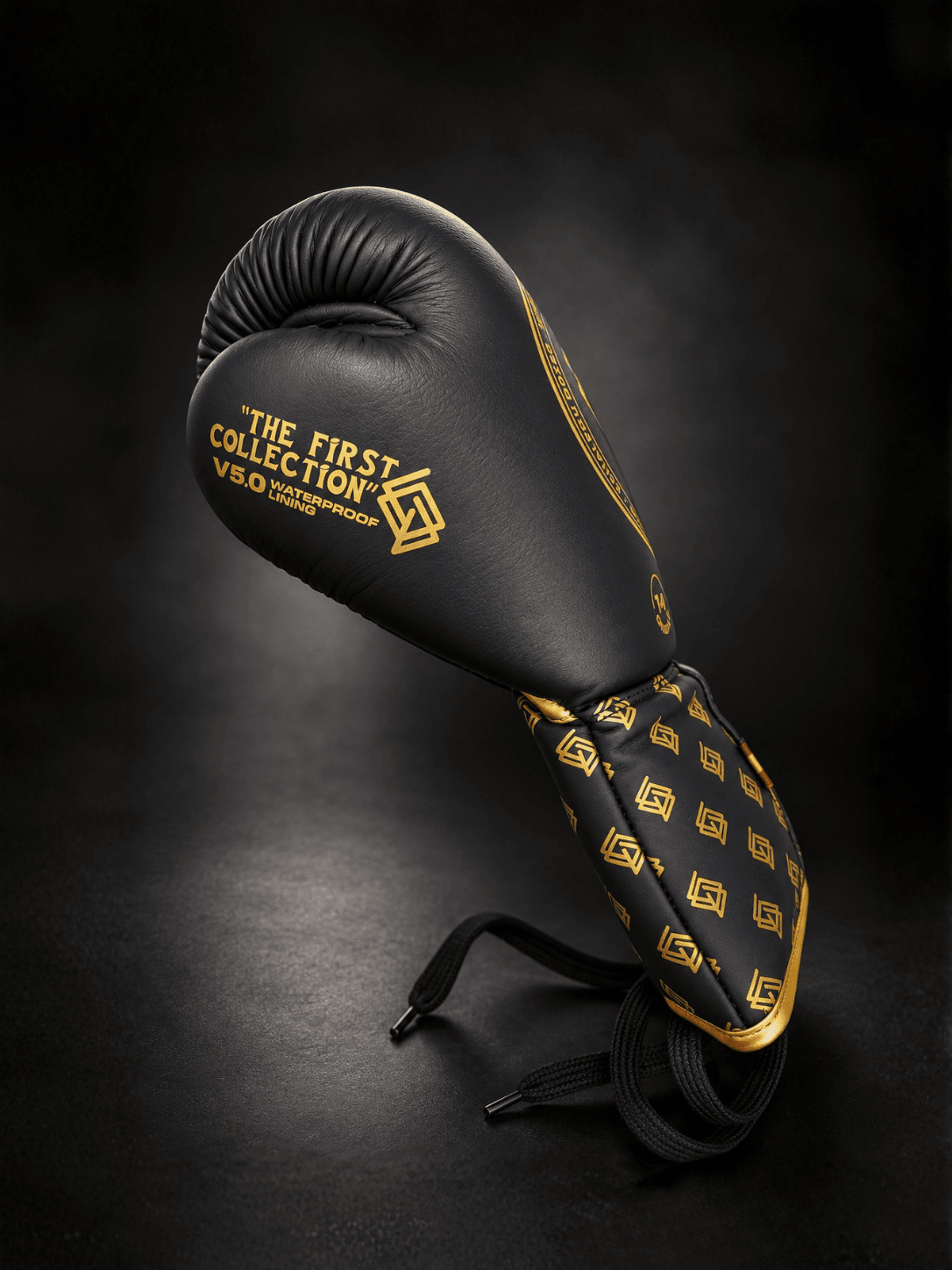GUANTES DE BOXEO V5 de cuerdas