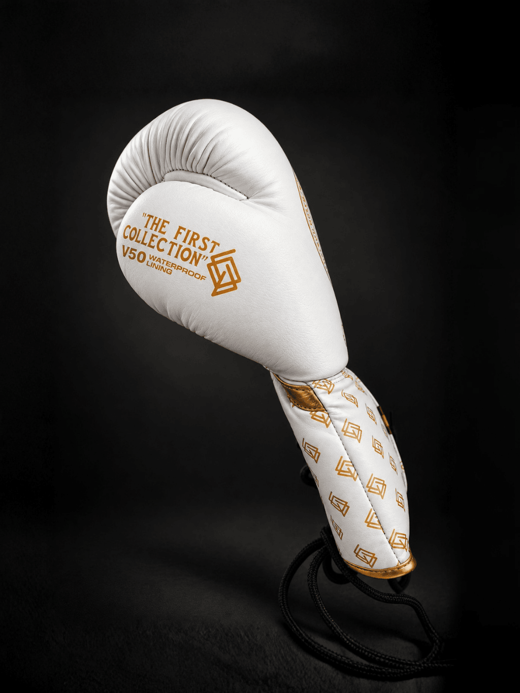 GUANTES DE BOXEO V5 de cuerdas