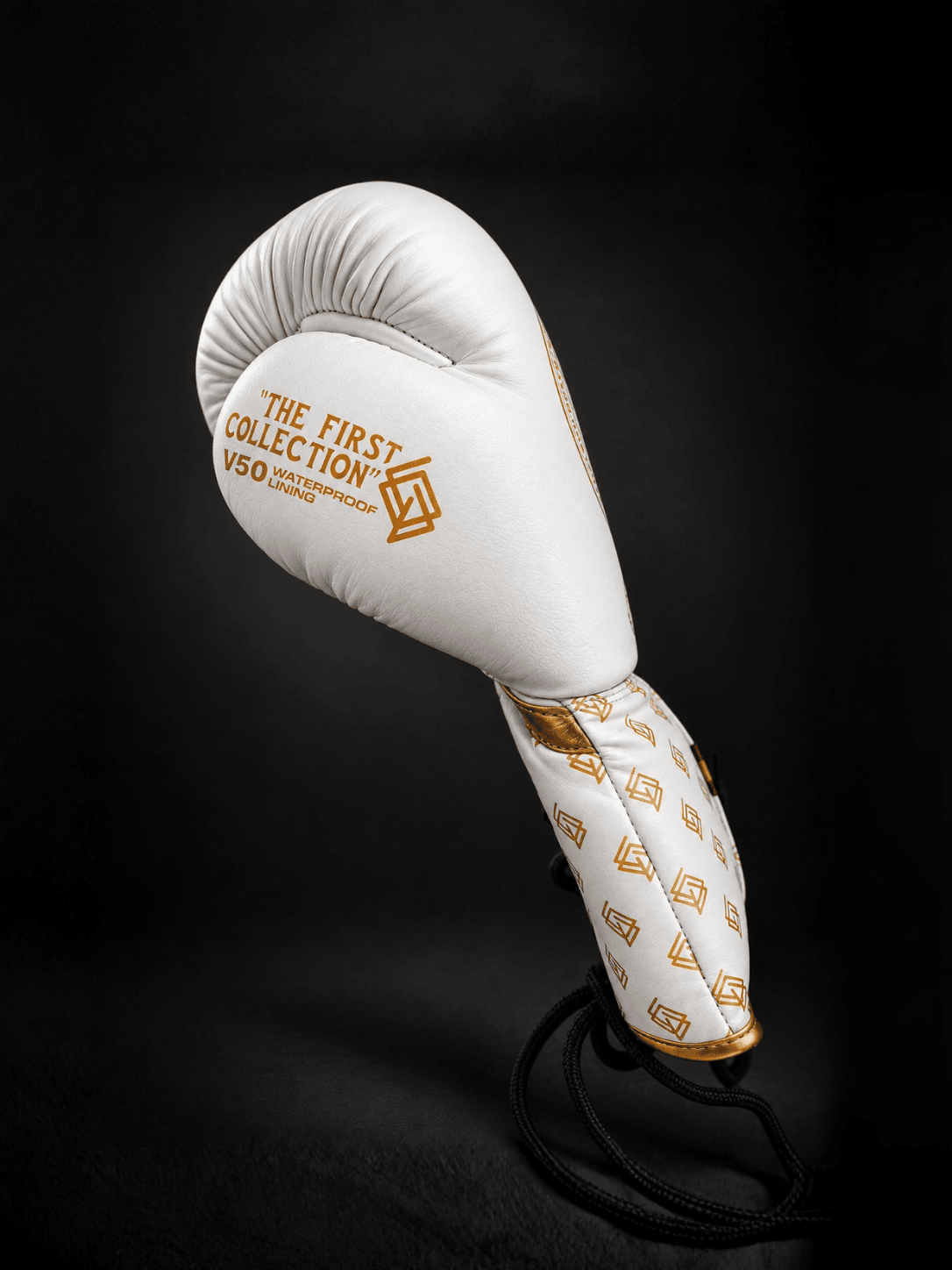 GUANTES DE BOXEO V5 de cuerdas