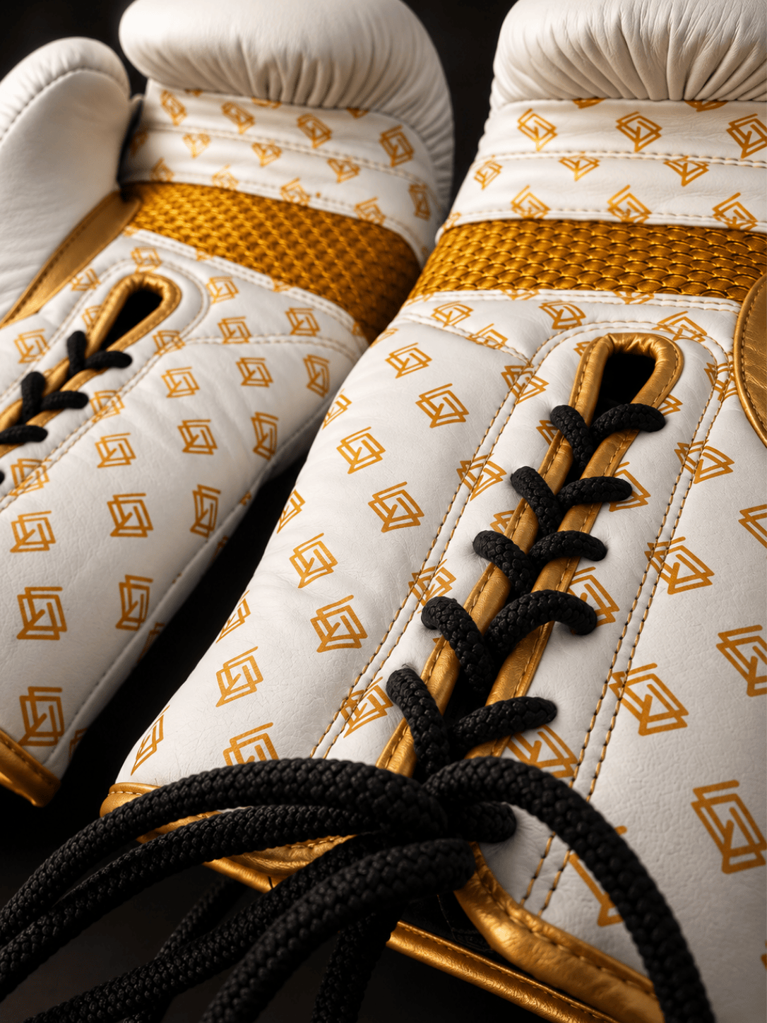 GUANTES DE BOXEO V5 de cuerdas