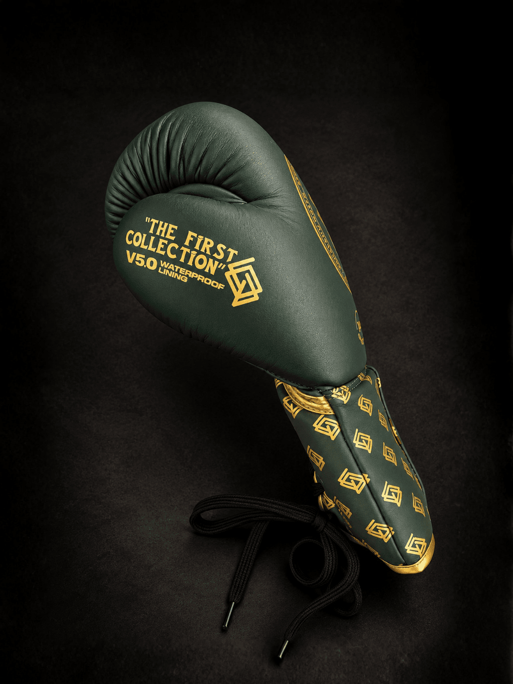 GUANTES DE BOXEO V5 de cuerdas
