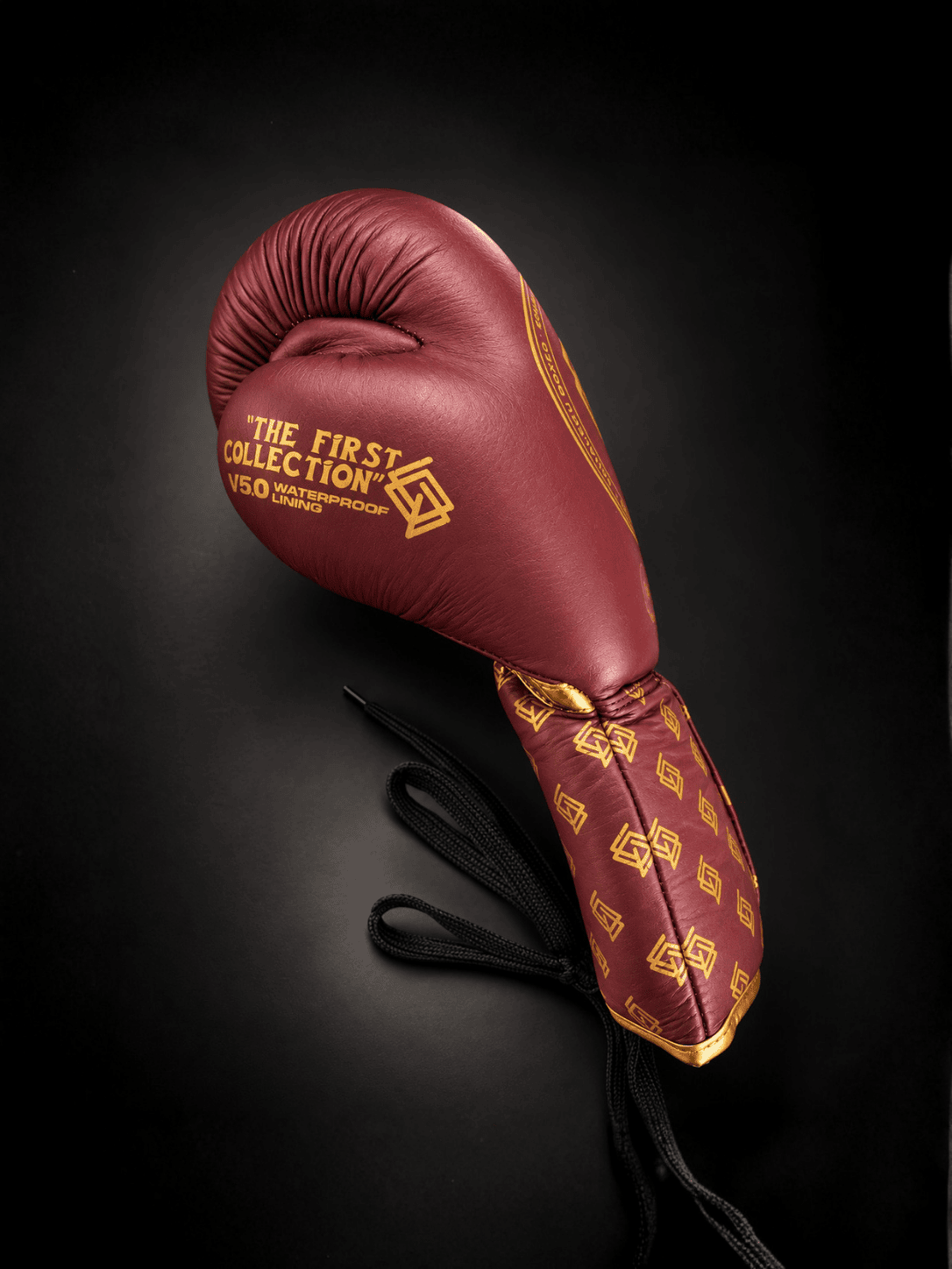 GUANTES DE BOXEO V5 de cuerdas